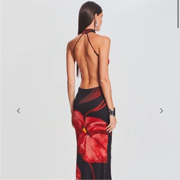 Retrofete Mabel Dress in red anthurium size XS NWT - Picture 5 of 12